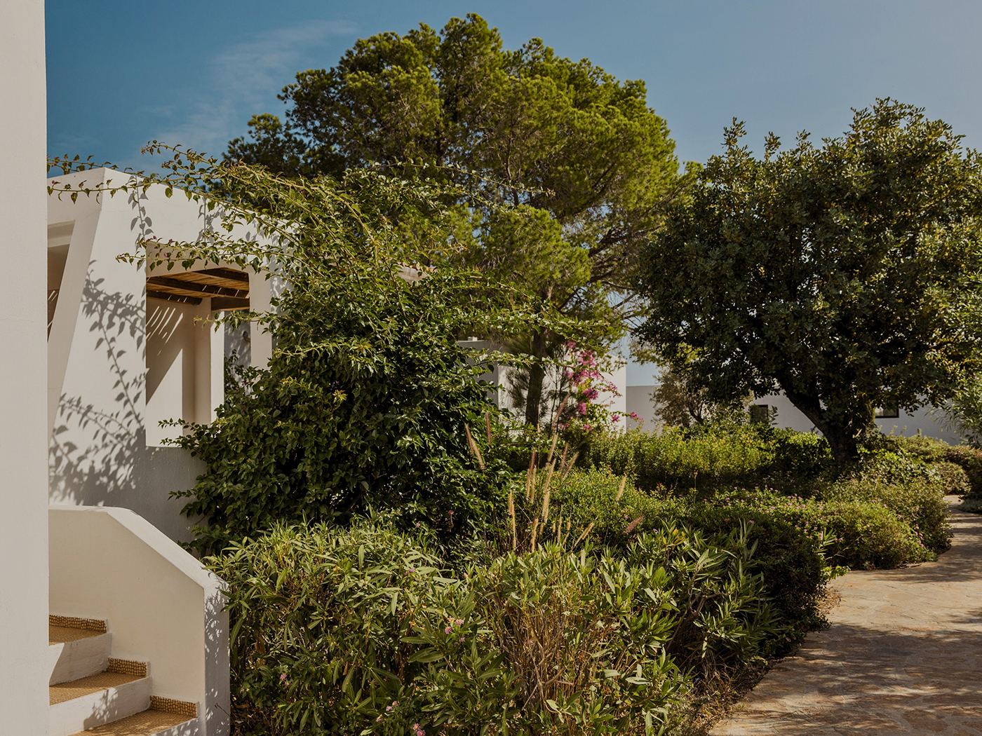 Minos Beach Nature Superior Bungalow V2 R 04