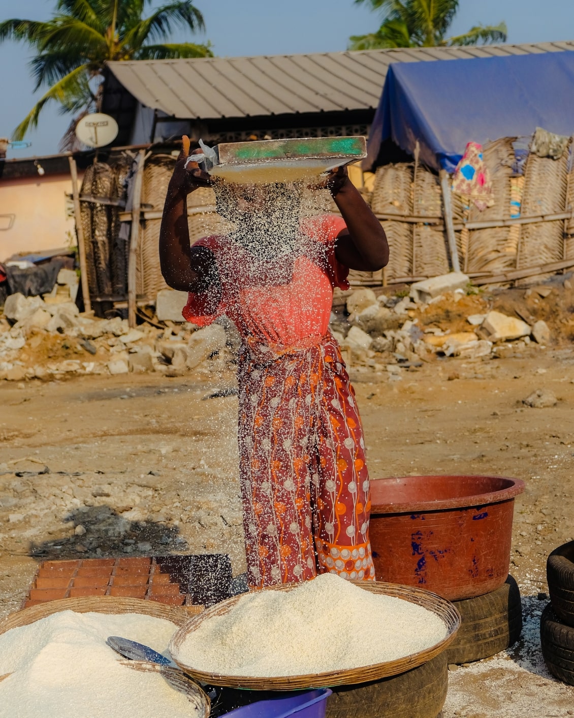 MBO La Maison Palmier Image 02A