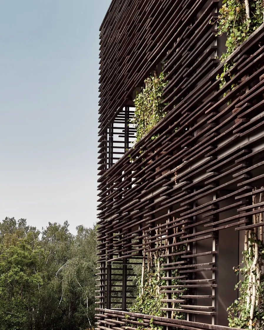 Conscious Eye Seezeitlodge 01