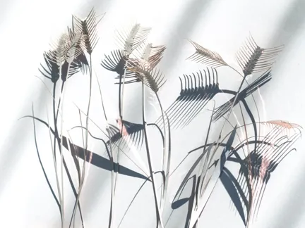 Design Diaries Anne T Rogers 005