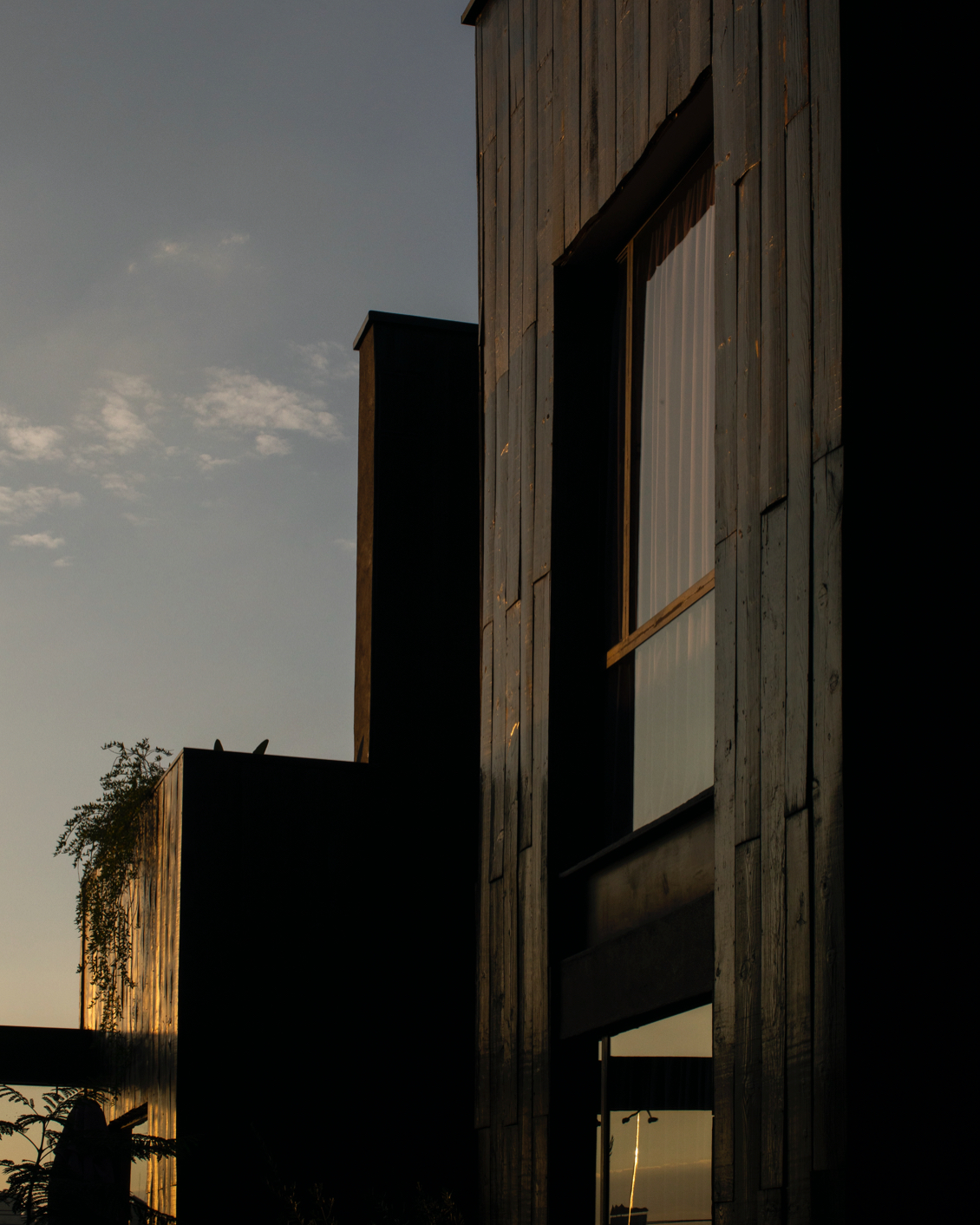 MBO Elena De Cobre 03