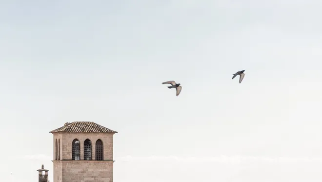 22 Best Of Pools Conceptio By Nobis Destination Birds