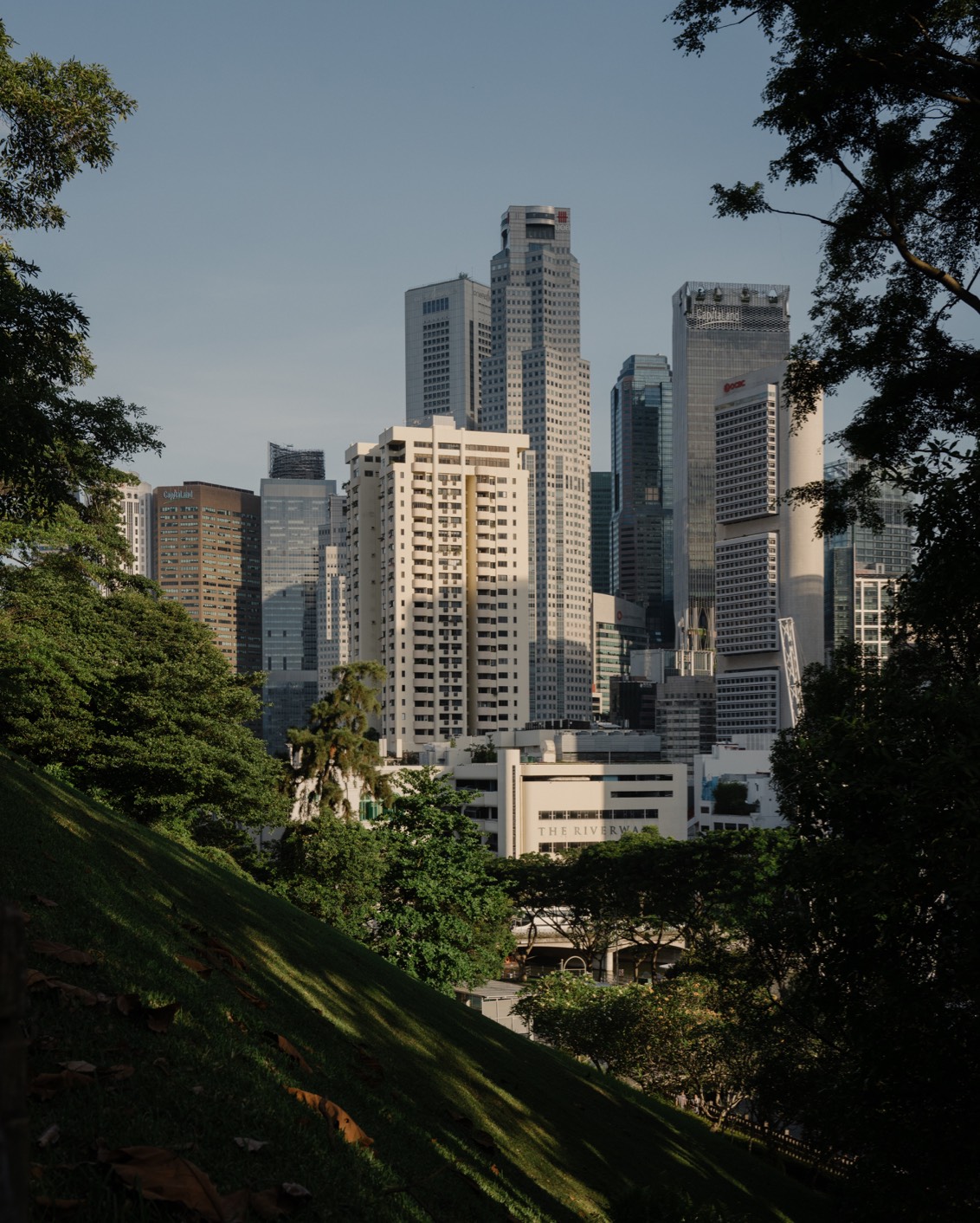 DH Originals Richard Hassell 08 C