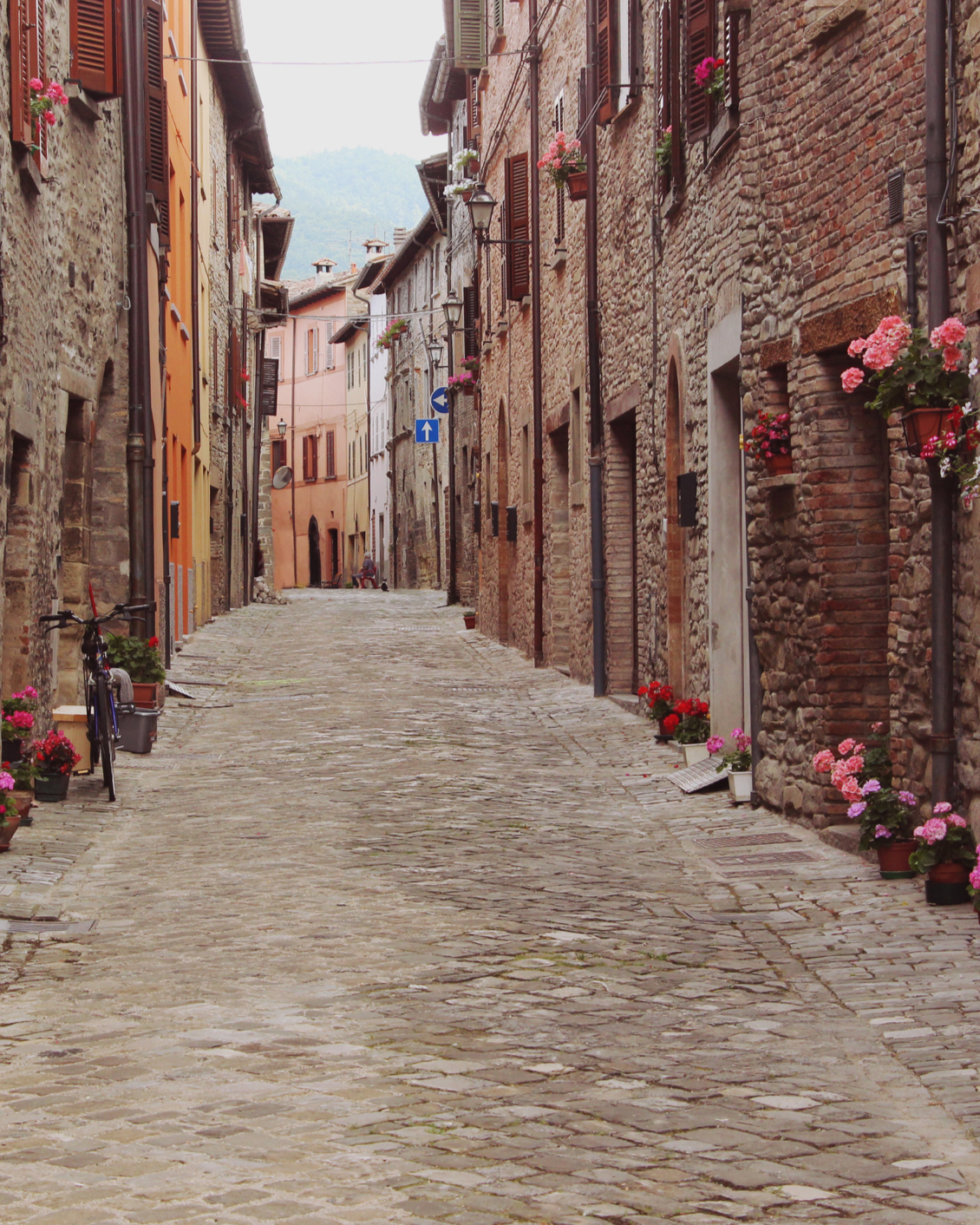 16 TGT Katie Mcknoulty