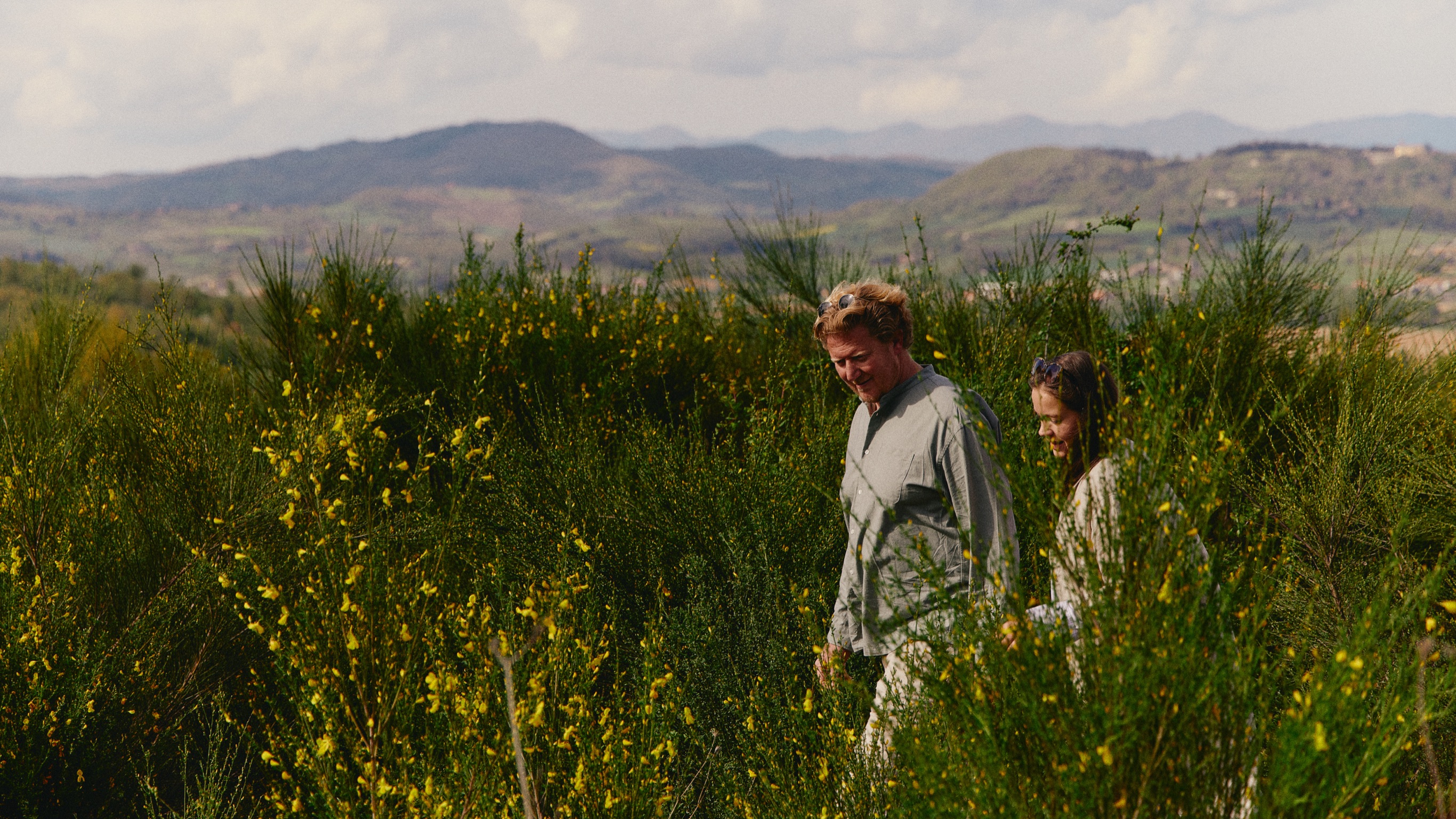 015 MBO Vocabolo Moscatelli