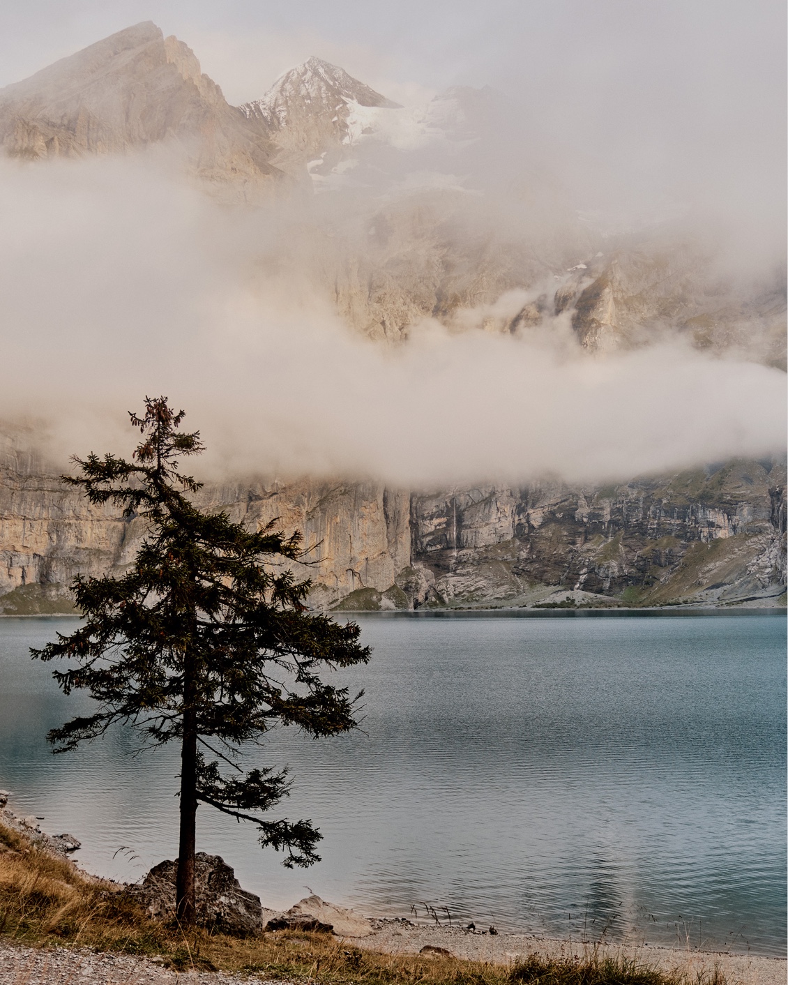 09 The Cambrian Mushroom Foraging