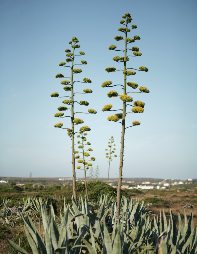 05 Where To Go 2020 Portugal Right