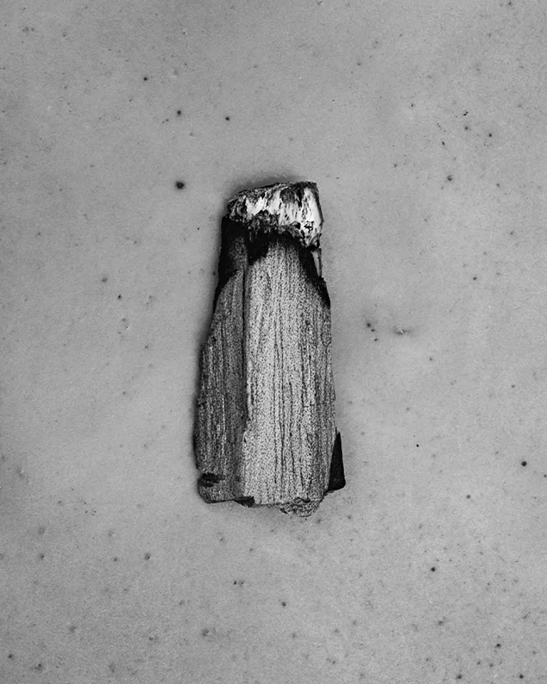 08 Travel Essentials Murkidis Seya