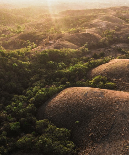 019 Where To Go 2022 Cap Karoso