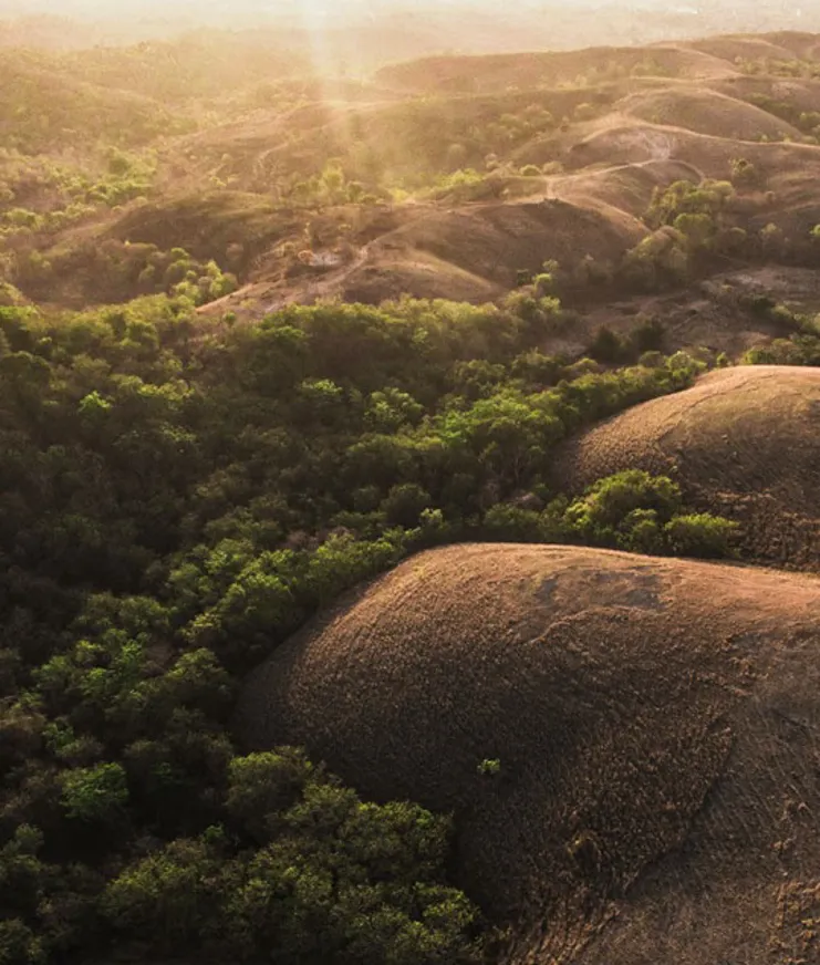 019 Where To Go 2022 Cap Karoso