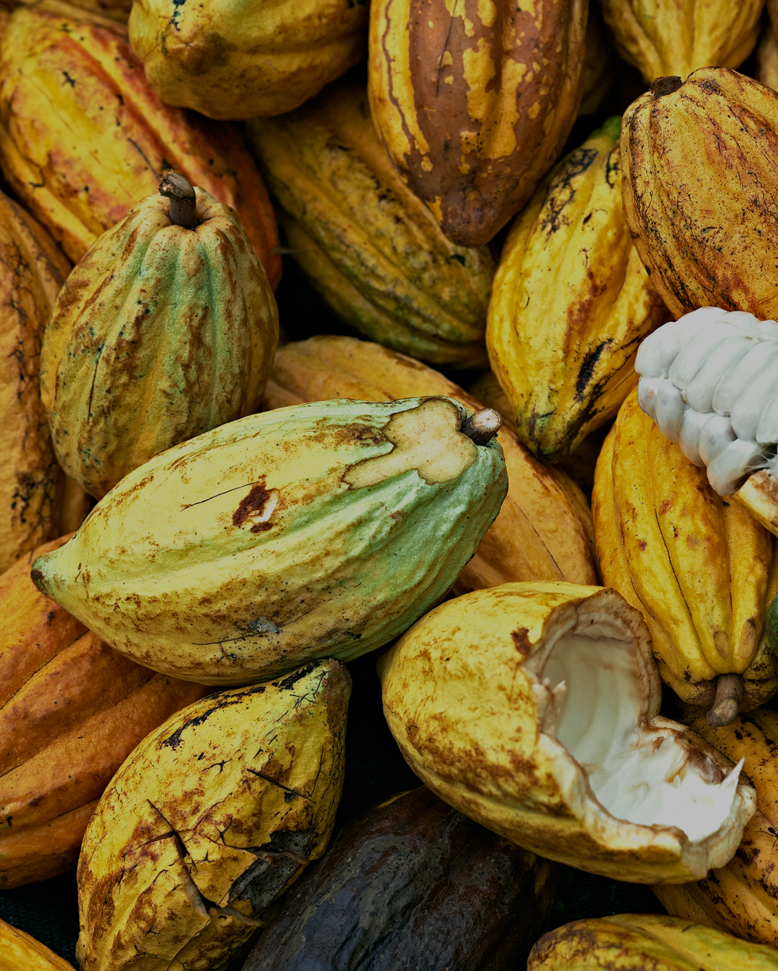 Boucan By Hotel Chocolat Mbo Right (1)