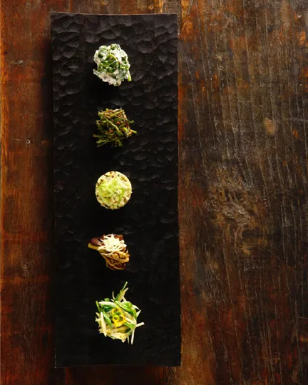 Mag Best Of Lodges Satoyama Jujo 03