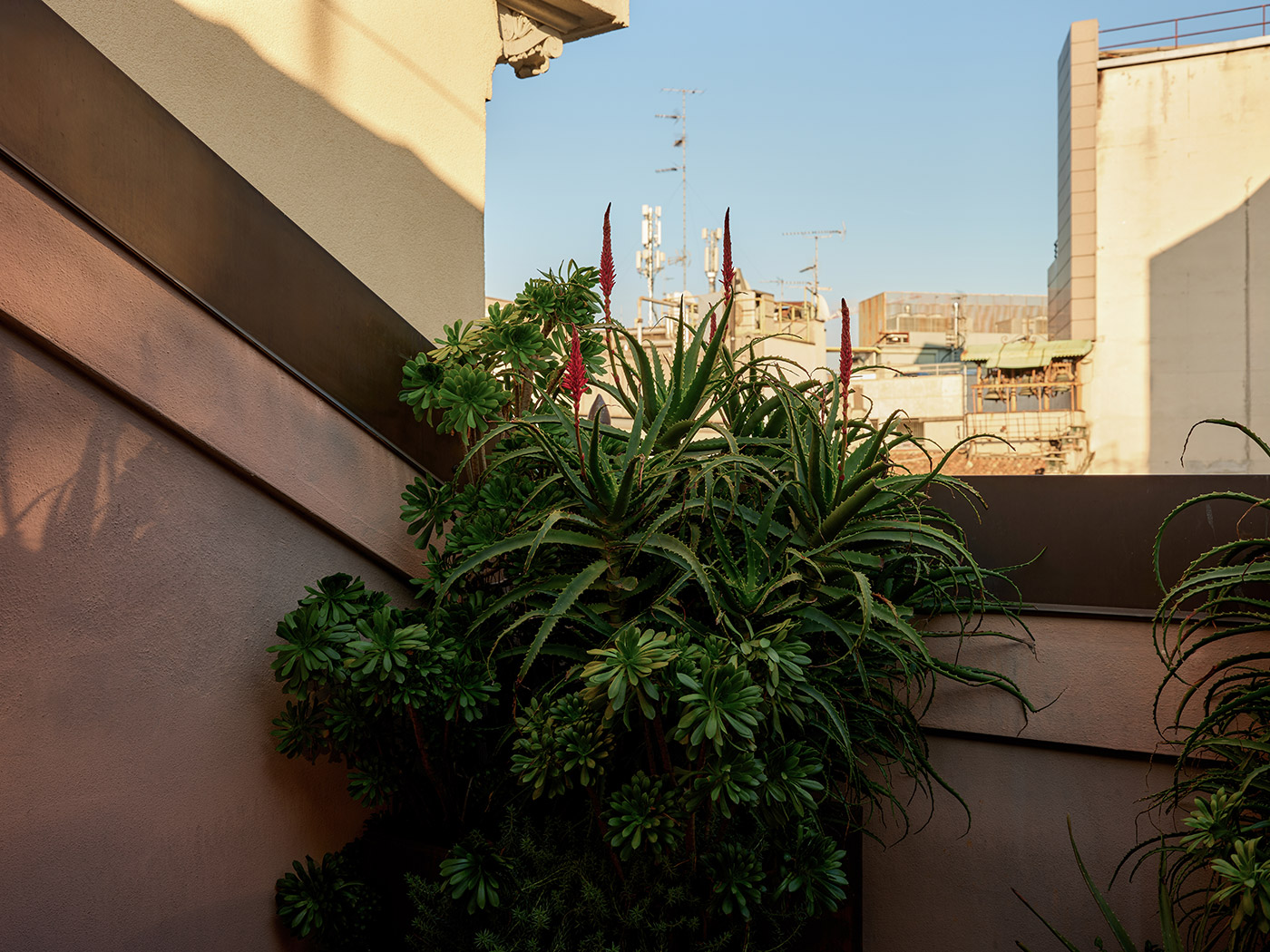 Straf Junior Suite R V2 06