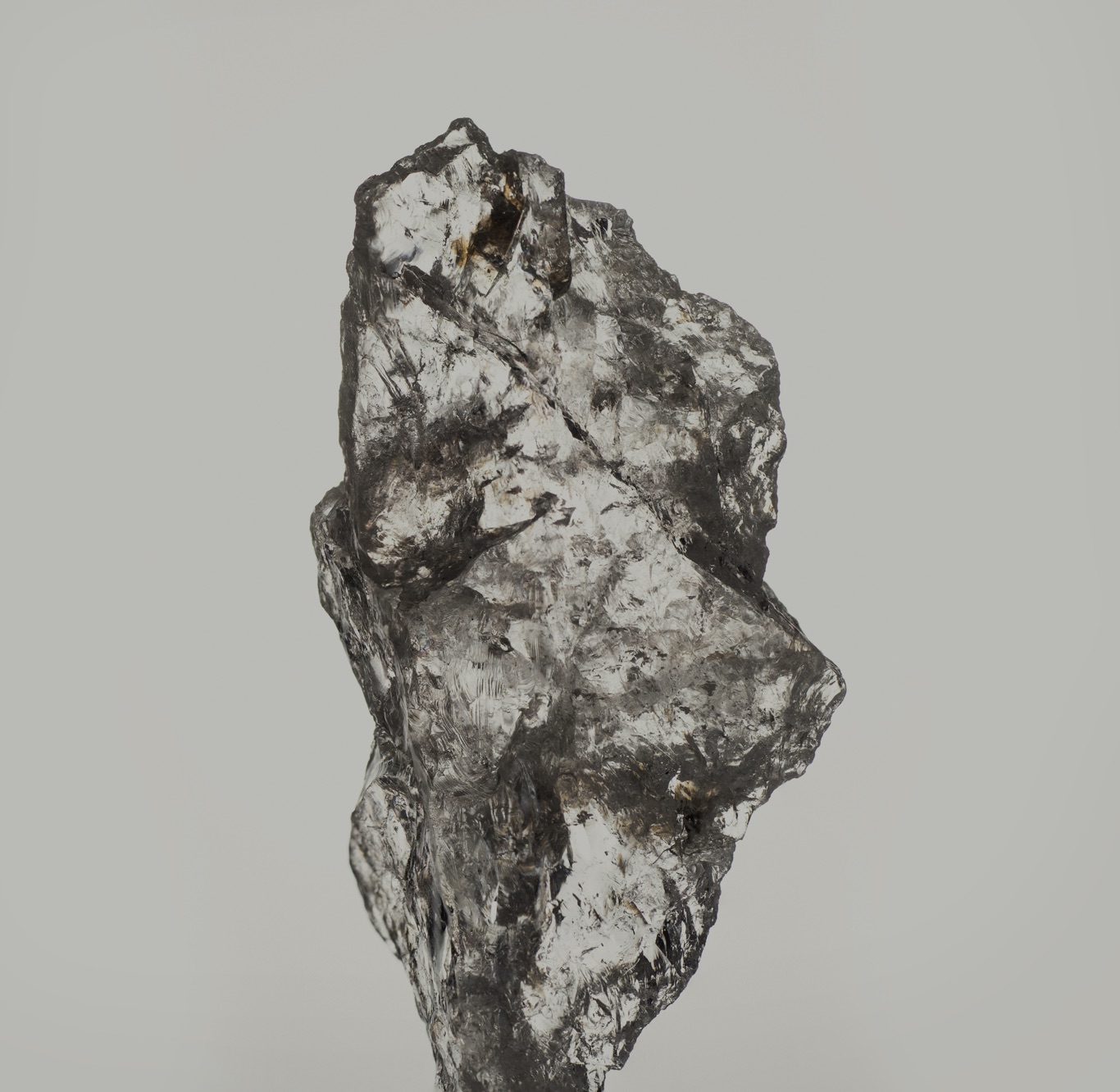 DH Ancient Rituals Bp 00