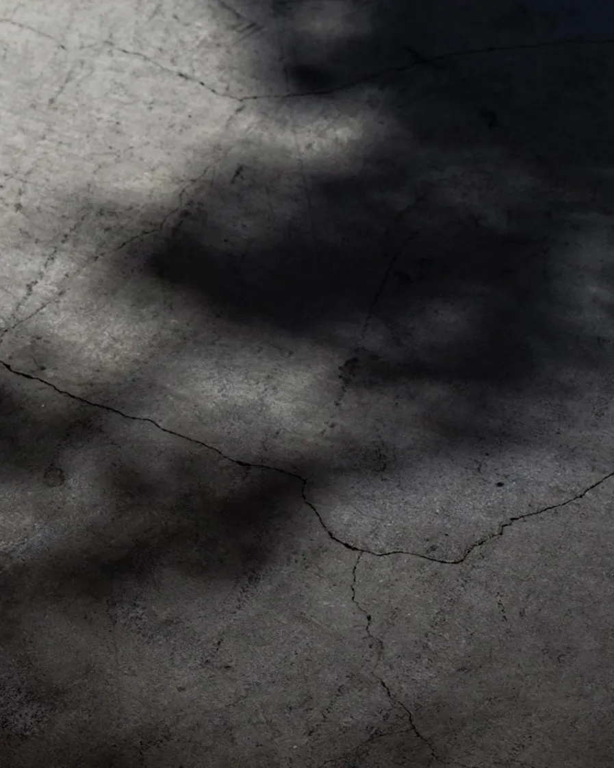 DH Japan Bullet Train 00 Header