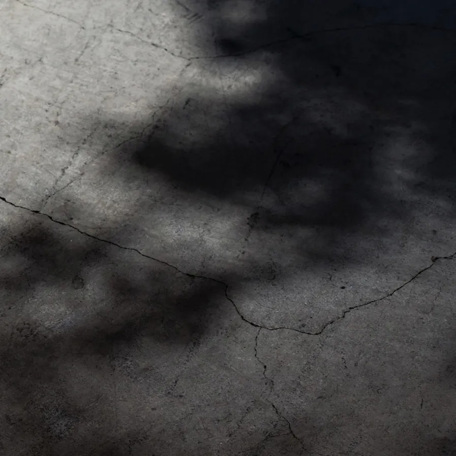 DH Japan Bullet Train 00 Header