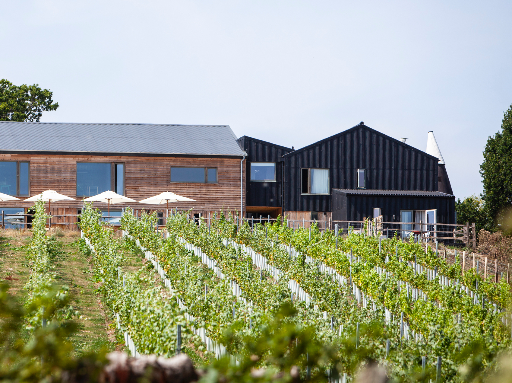 007 Biodynamics Vineyards Tillingham Vineyeards