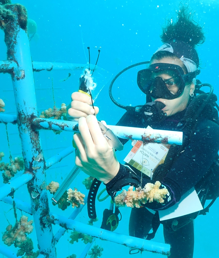 06 TGT Supporting The Reefs