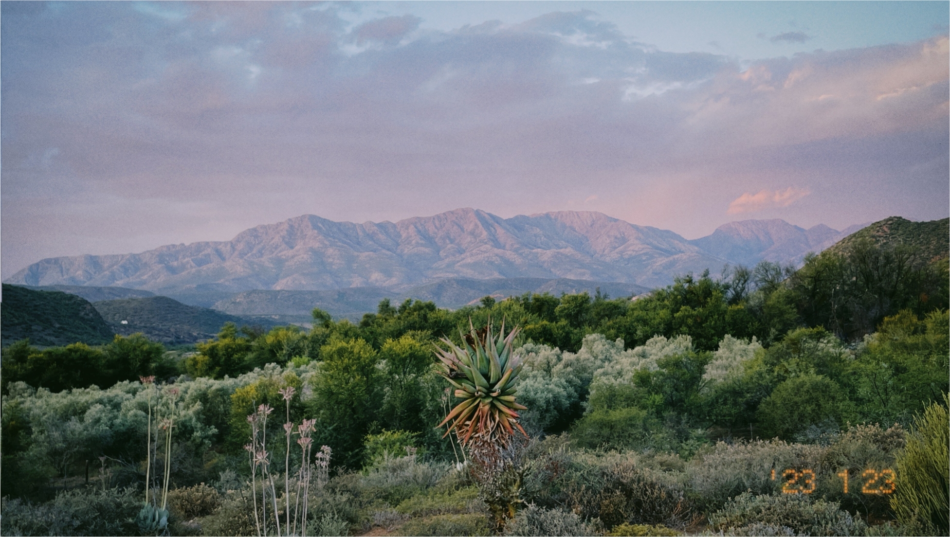 TGT Christian Naehtler 11