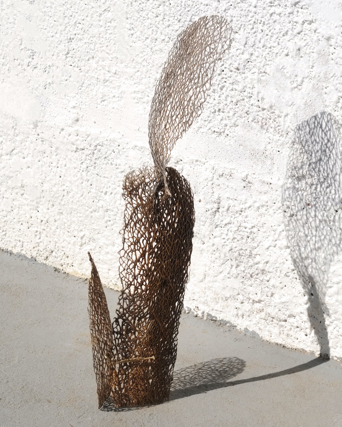 13 My Private Odyssey Octavio Barrera A