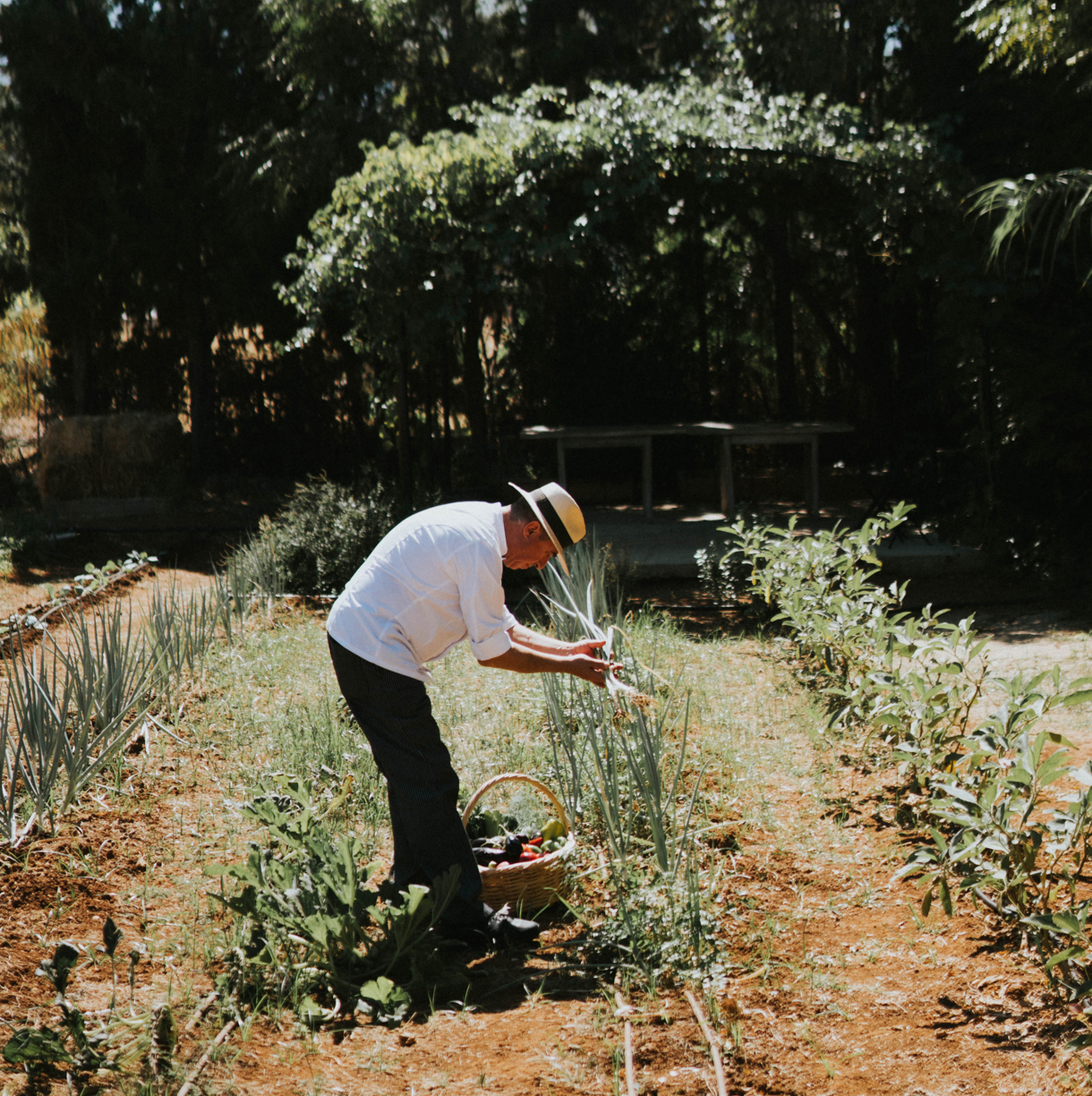 Sustainable Hotel Cretan Malia 02 Update