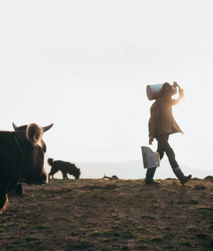 BP Cervo Panel Food Sustainability 05