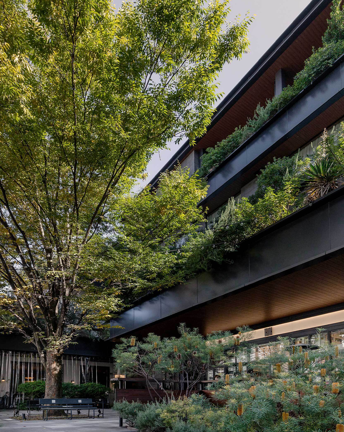 Trunk Hotel Cat Street