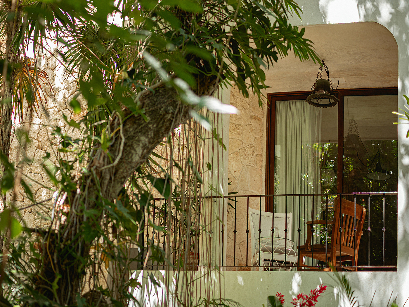 Hotel La Semilla Cuartos Terraza R 7