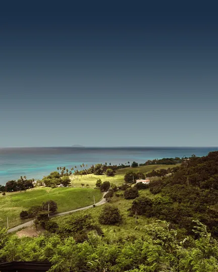 Journal Article Autumn 2023 02