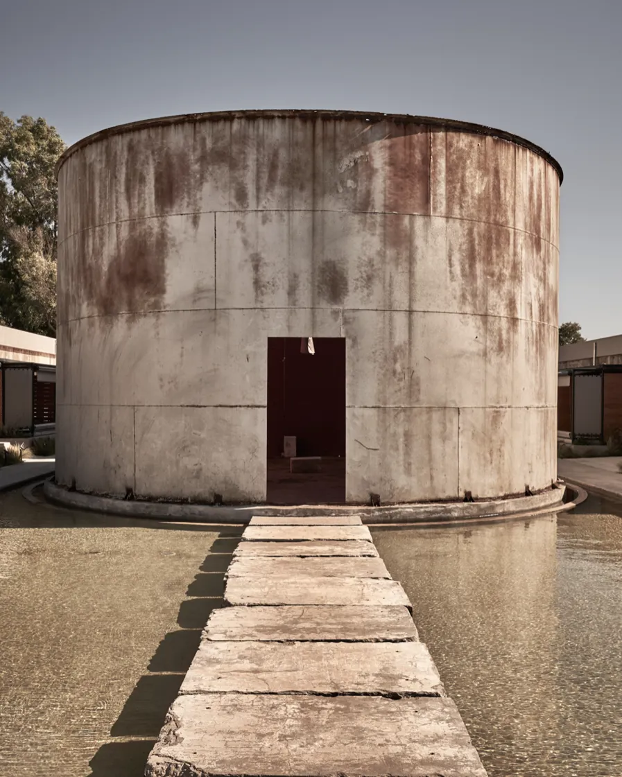 Conscious Eye Dexamenes 1