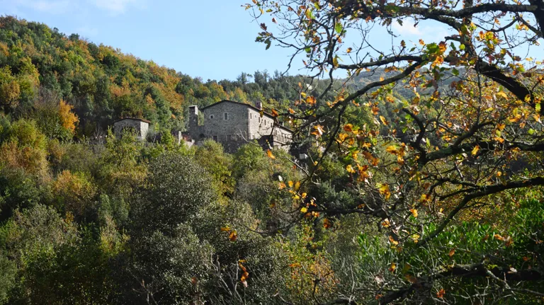 008 Eremito Hotel Area