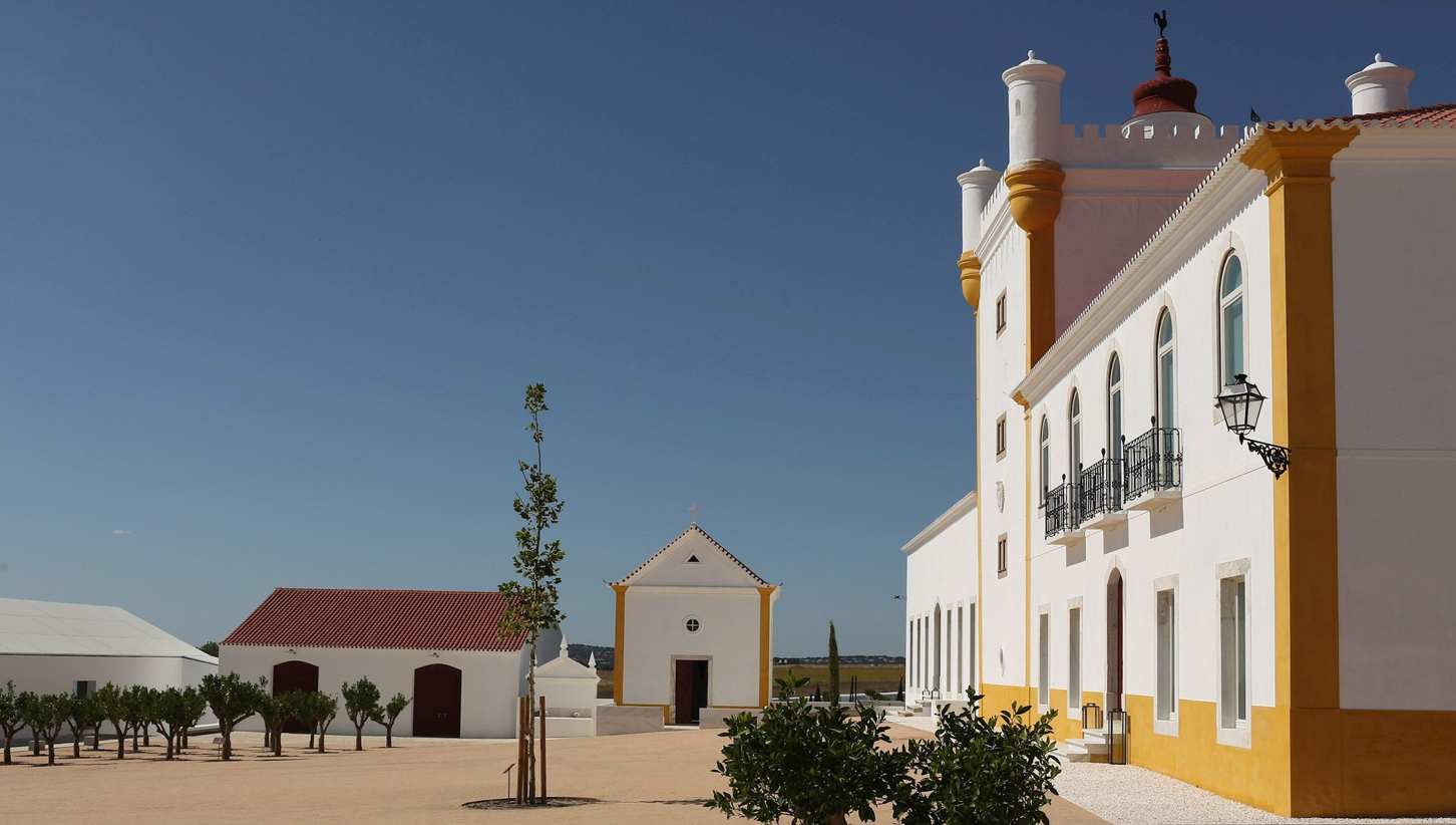 014 Biodynamics Vineyards Torre De Palma