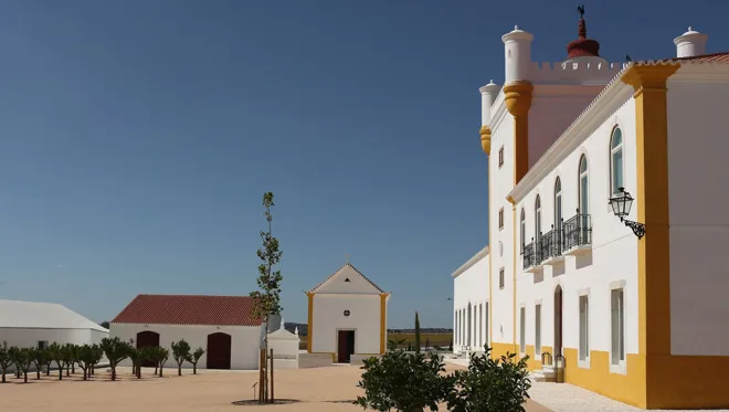 014 Biodynamics Vineyards Torre De Palma