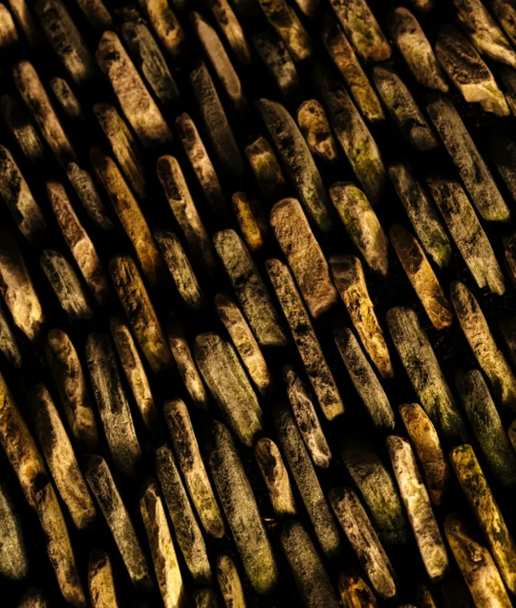 Journal Article Monastic 20