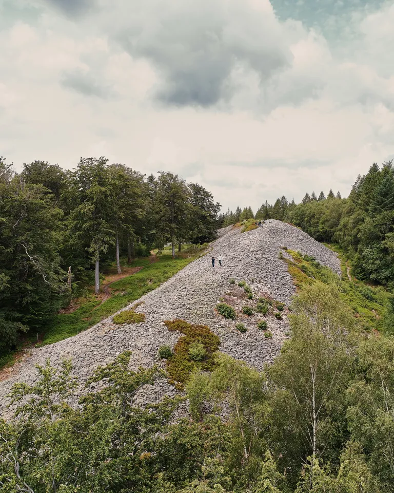 Seezeitlodge Hotel Und Spa Nature