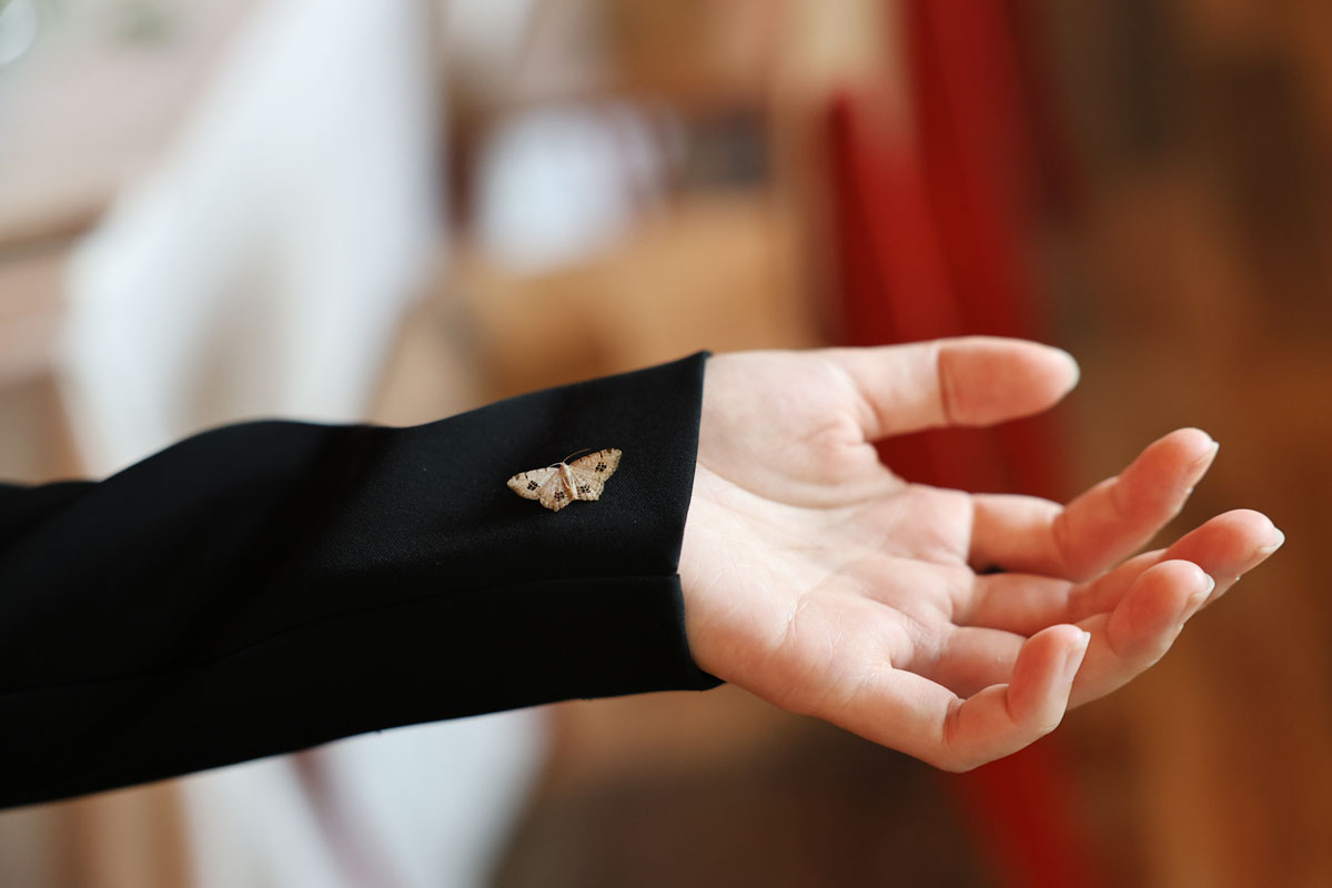 DH24 SALES S Chengdu Travelpro 10