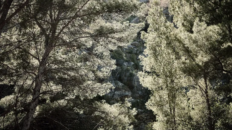 BP Walking Meditation 06