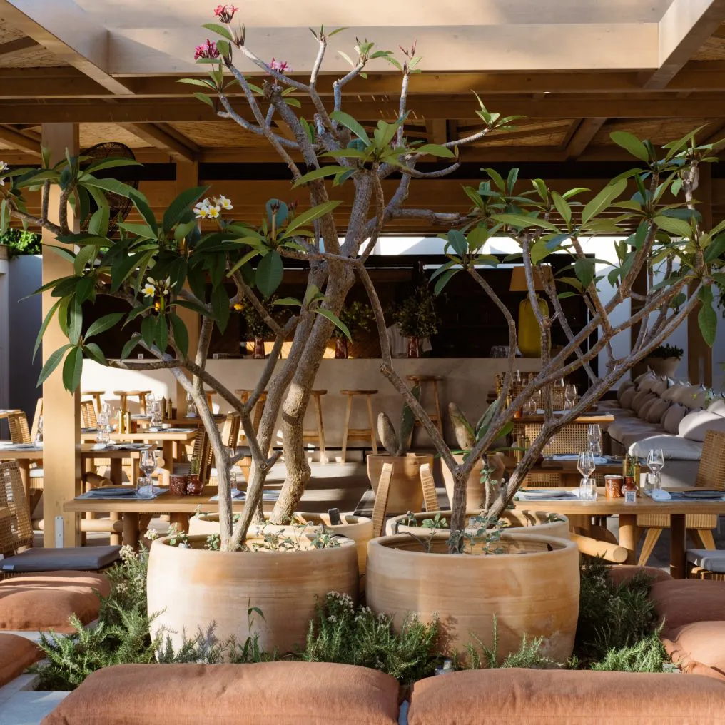 Phaea Cretan Malia Theme Box 03 Food And Drink 3