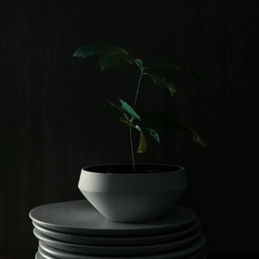 Sustainable Hotel Pacai B