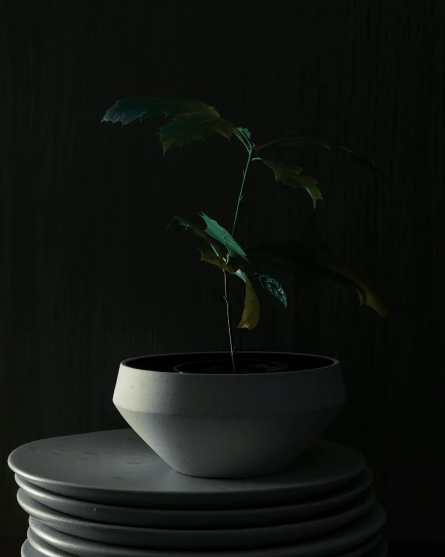 Sustainable Hotel Pacai B