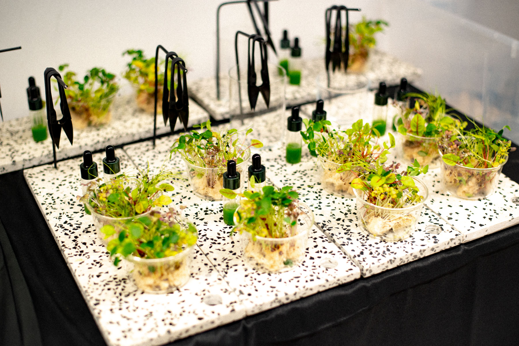 DH SALES23 CE Madrid 03