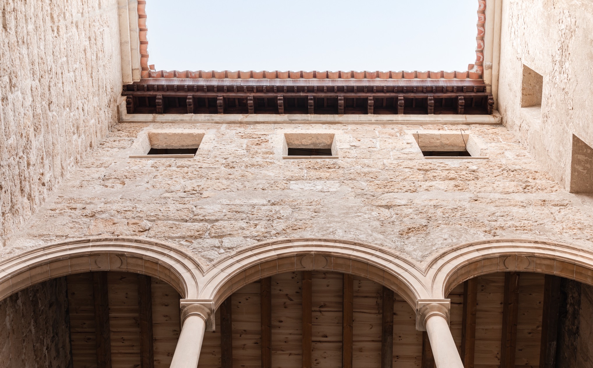 015 SP Nobis Palma Carousel 01 (1)