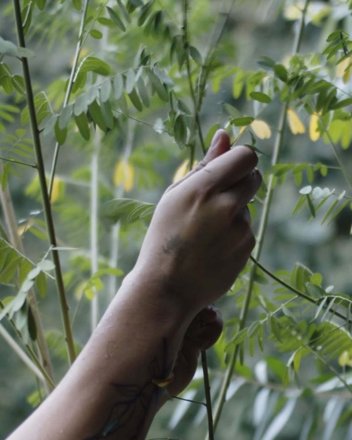 008 A Craft New Tale In Indonesia