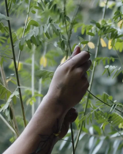 008 A Craft New Tale In Indonesia