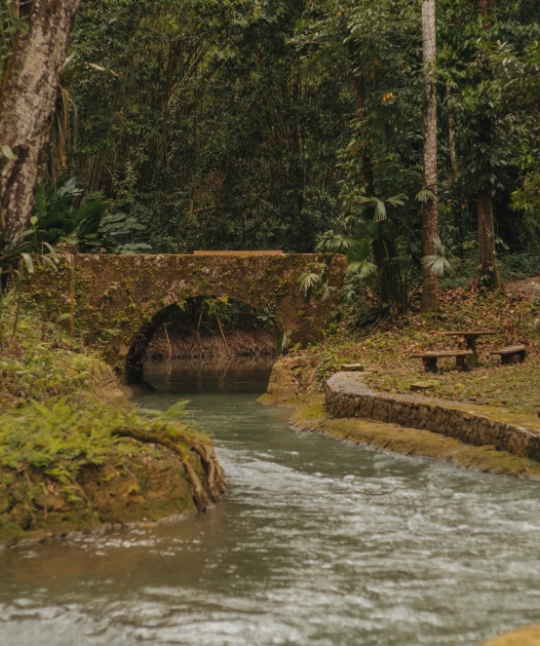 06 Interview With Neil Markey