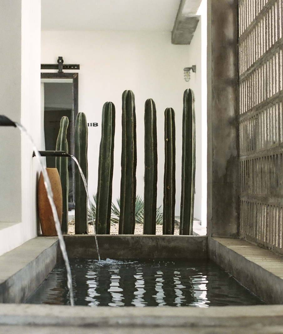 Drift San Jose Cabo Architecture 02