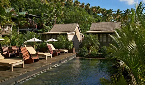 Boucan by Hotel Chocolat Palm Tree in Saint Lucia