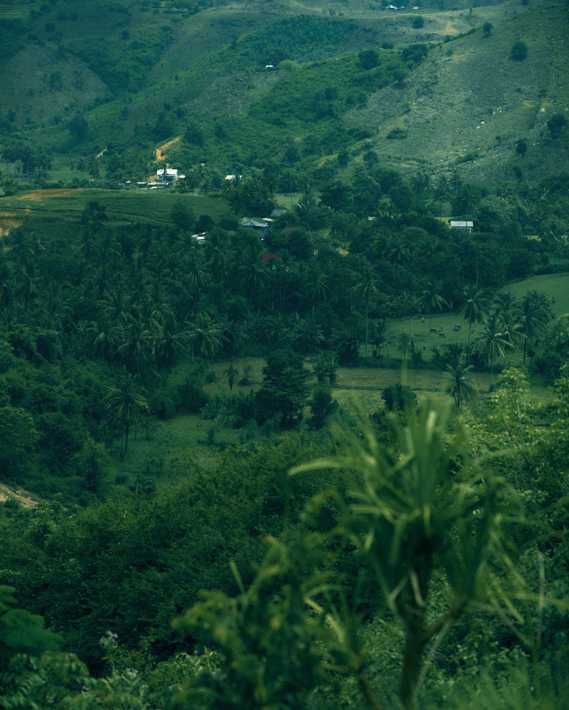 Destination Lombok Image 10.2