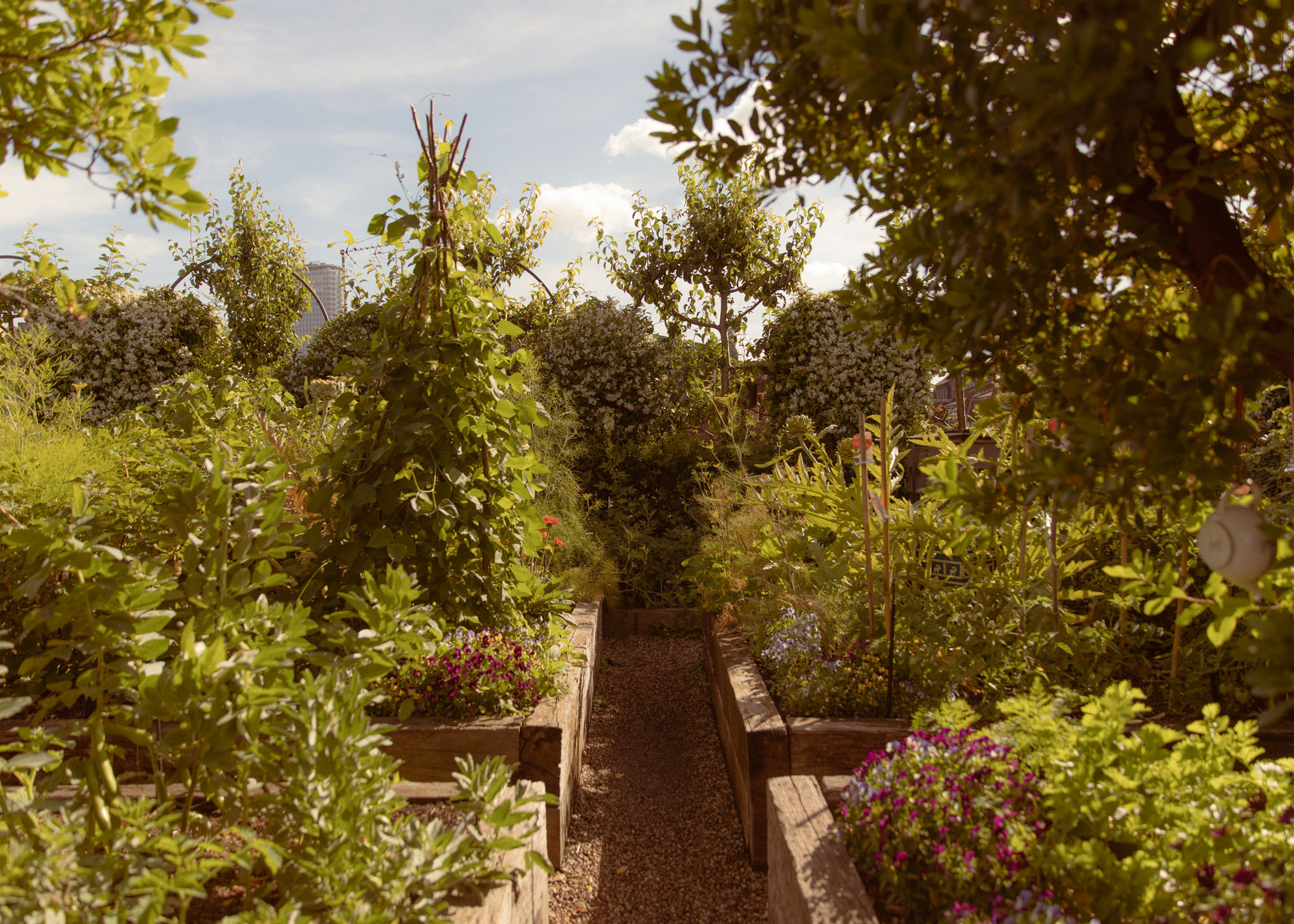 DH22 Studiolondon 02