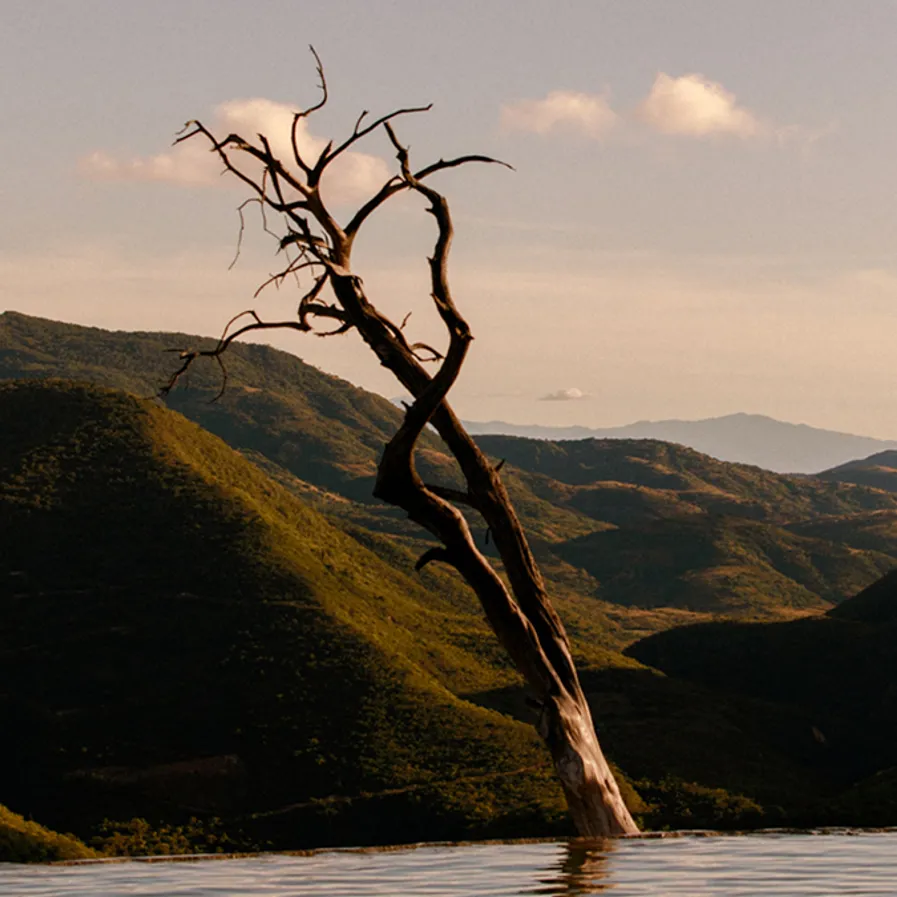 Destinations Sunlight And Agave Part 3